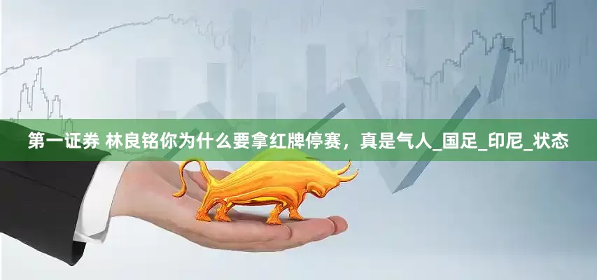 第一证券 林良铭你为什么要拿红牌停赛，真是气人_国足_印尼_状态