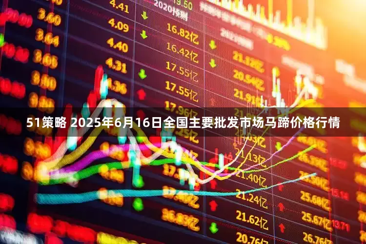 51策略 2025年6月16日全国主要批发市场马蹄价格行情
